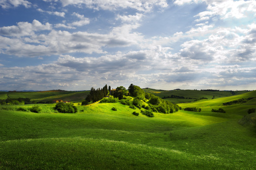 540791 (a): :1920x1280